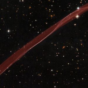 Meet your Posher, Ella